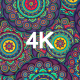 Mandala Colorful Pattern - VideoHive Item for Sale