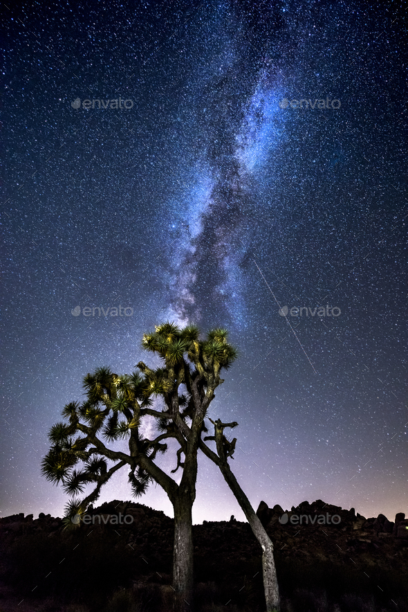 Milky Way in Joshua Tree - Stock Photo - Images