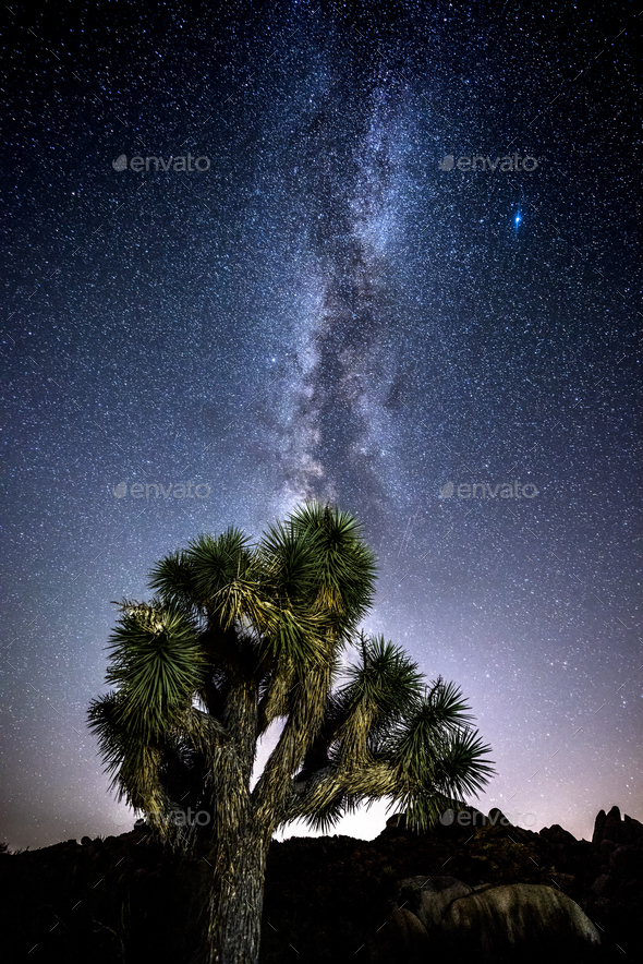 Milky Way in Joshua Tree - Stock Photo - Images