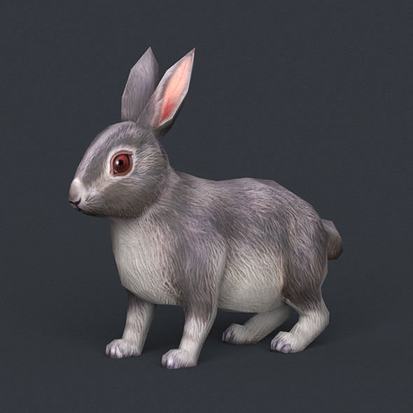 Game Ready Rabbit - 3Docean 21542102