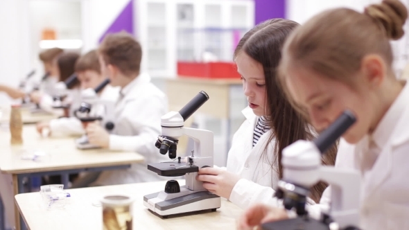 Schoolboys Look Through Microscopes