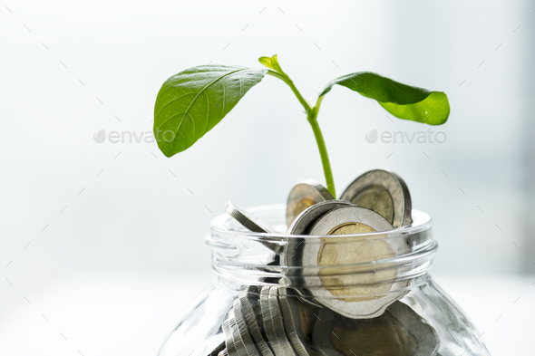Macro shot of financial concept - Stock Photo - Images