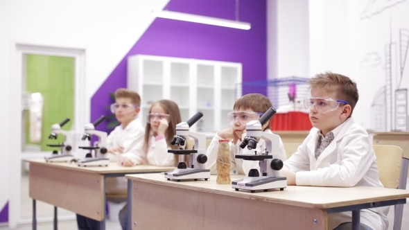 Modern Biology Lesson in Elementary School by olegsavkin | VideoHive