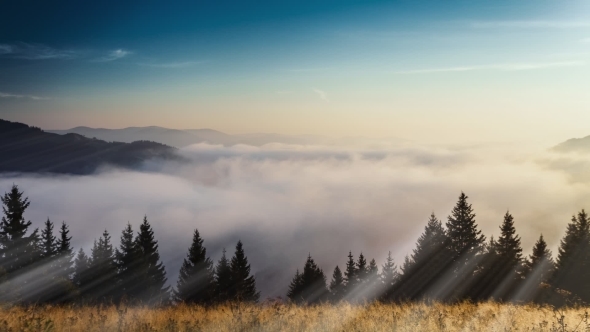 Mountains in Ukraine Early Morning with Fog and Ray Light