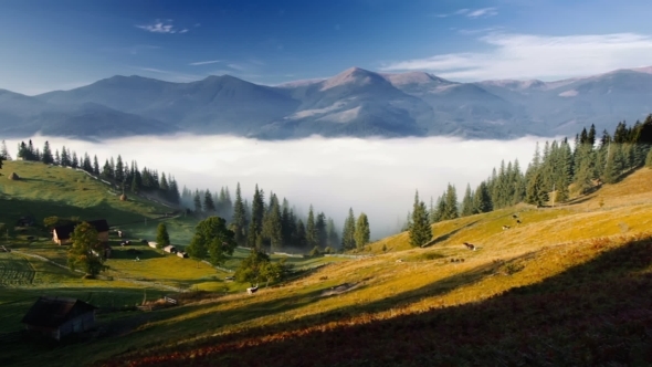 Mountains in Ukraine Early Morning with Fog