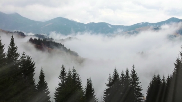 Mountains in Ukraine Early Morning with Fog and Ray Light