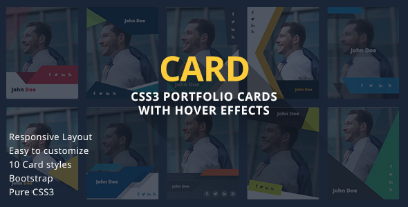CARD - CSS3 - CodeCanyon 21558172