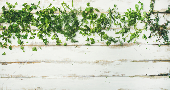 Various fresh green kitchen herbs for healthy cooking, copy space - Stock Photo - Images