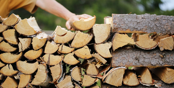 Man is Making Pile of Logs Outdoors in the Forest