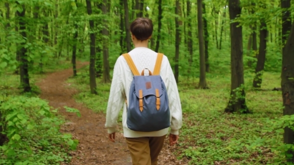 Hiker Woman with Backpack Walking in the Forest. Travel Concept