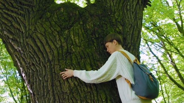 Girl Hugs the Big Tree in the Forest, Love for Nature