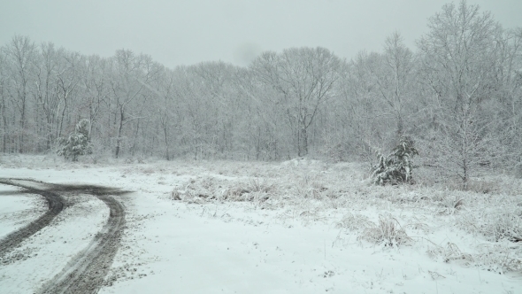 Beautiful Winter Landscape Snow Storm with Trees alt