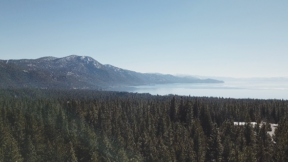 Sinking Into The Forest Of Lake Tahoe