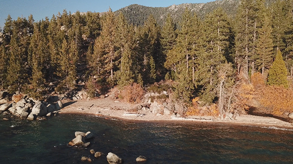 Flying Along A Rocky Beach