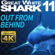 Shark 11 - VideoHive Item for Sale
