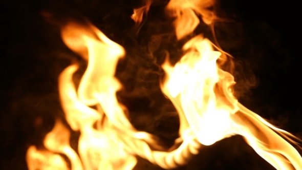 Hearts on Fire. Flame