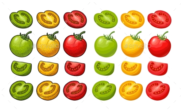Set of Hand Drawn Tomatoes - Food Objects