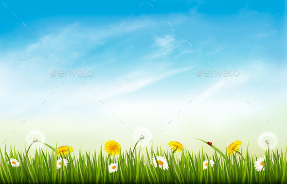 Spring Nature Landscape Background - Seasons Nature