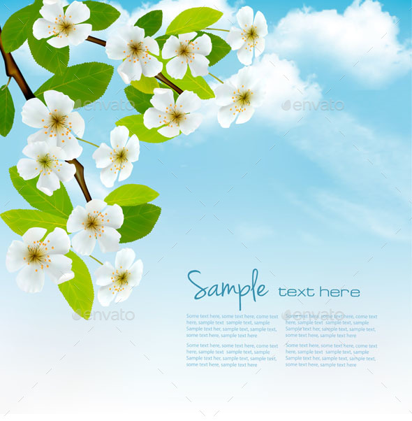 Cherry Blossom Branch Background - Flowers & Plants Nature