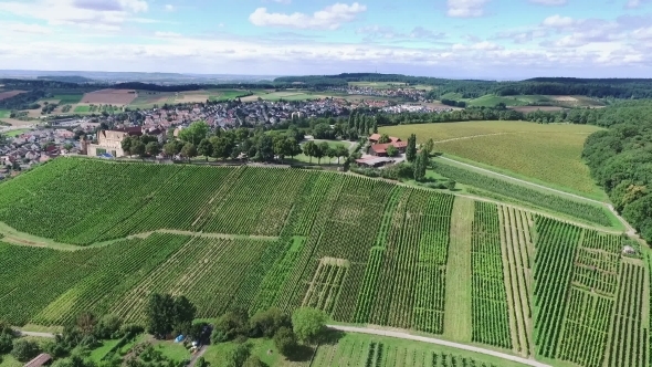 Small German Town on Vineyards