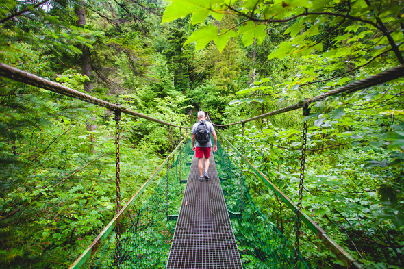 Hiker on the suspension bridge. The Tatras. - Stock Photo - Images