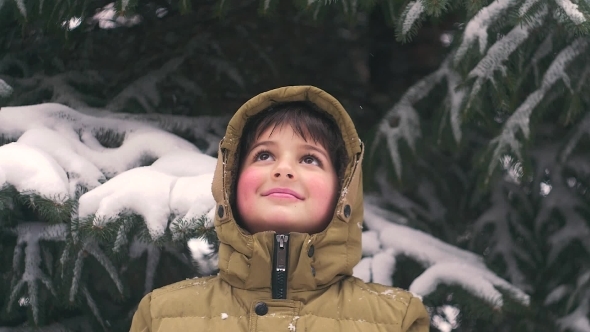 The Child is Looking Up at the Going Snow