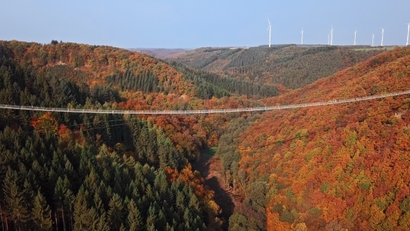 Flight Over Suspension Footbridge Geierlay, Germany alt