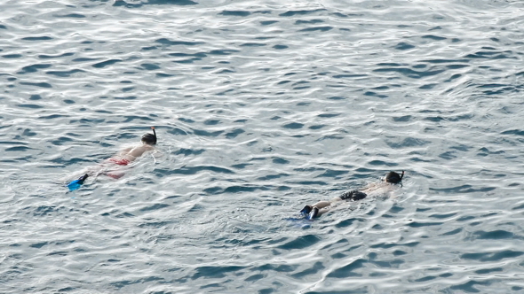 Snorkels in the Beach alt