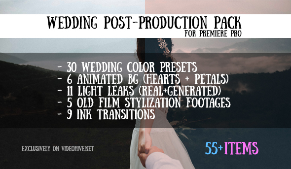 Real Estate Promo - 4