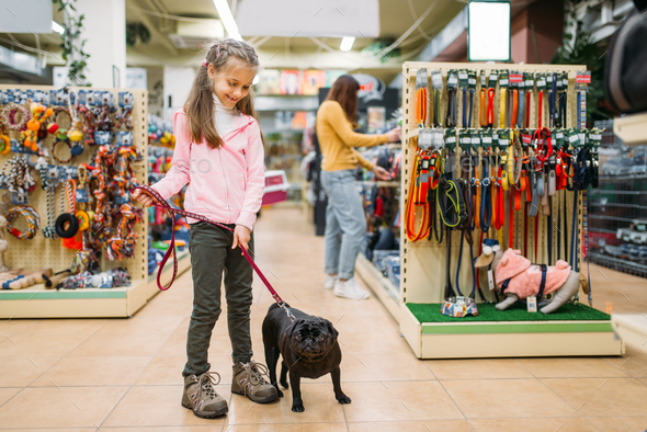 Little girl with puppy in pet shop, friendship - Stock Photo - Images