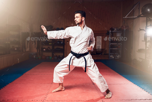 Martial arts master, black belt, karate - Stock Photo - Images