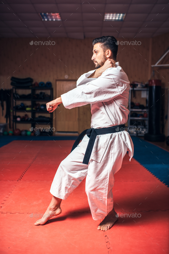 Martial arts master on fight training in gym - Stock Photo - Images