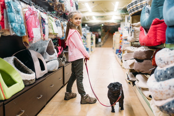 Little girl chooses house for puppy in pet shop - Stock Photo - Images