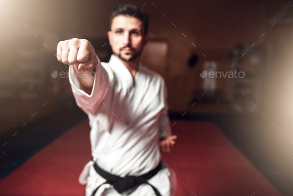 Martial arts master on fight training in gym - Stock Photo - Images