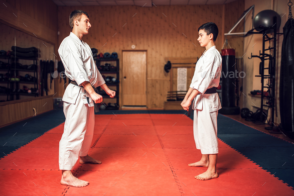 Martial arts master and young disciple - Stock Photo - Images