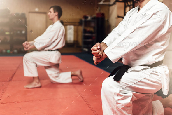 Martial arts fighters on workout in gym - Stock Photo - Images