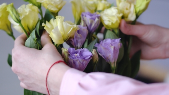 Female Hands with Beautiful Flowers - Eustoms of Yellow and Violet From Close Range alt