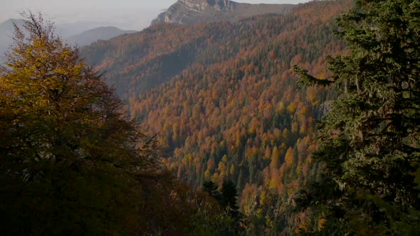 Cloudy mountains and forest in autumn. alt