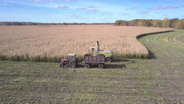 Upper View Tractor with Trailer Gathers Harvested Corn Mass alt