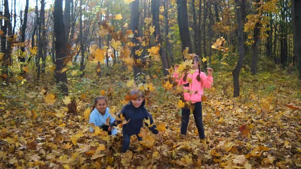 Three Small Children Throw Autumn Leaves in the Park