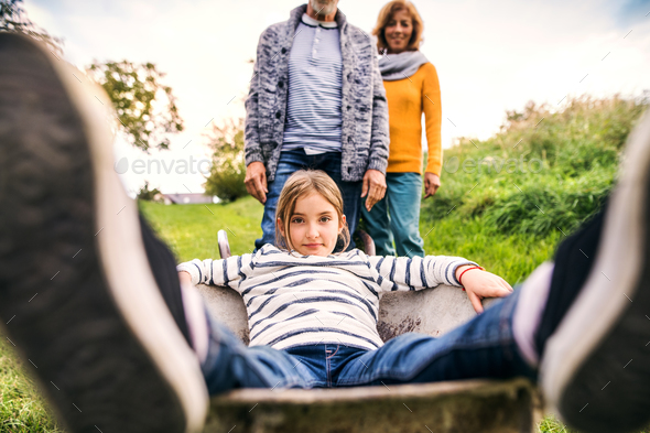 Senior couple with granddaughter gardening in the backyard garden. - Stock Photo - Images