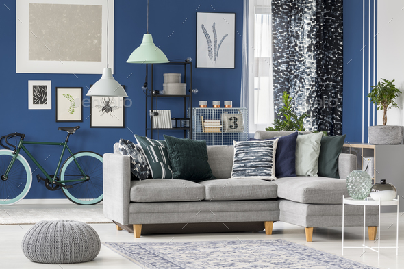 Navy blue living room design - Stock Photo - Images