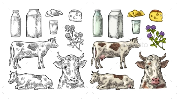 Farm Milk Set - Food Objects