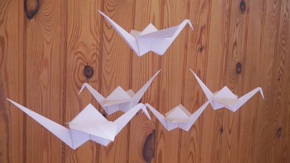 Paper Birds alt