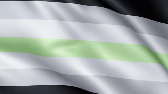 Agender Pride Flag | UHD | 60fps alt