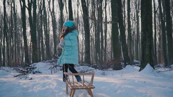 Girl Is Pulling the Sleigh alt