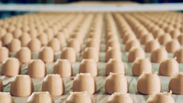 Batches of Newlymade Sweets are Moving Along the Belt alt