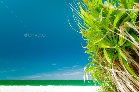 Amazing relaxing view of tropical landscape - Stock Photo - Images