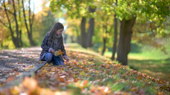 Cute little girl with her hair walks in a beautiful park