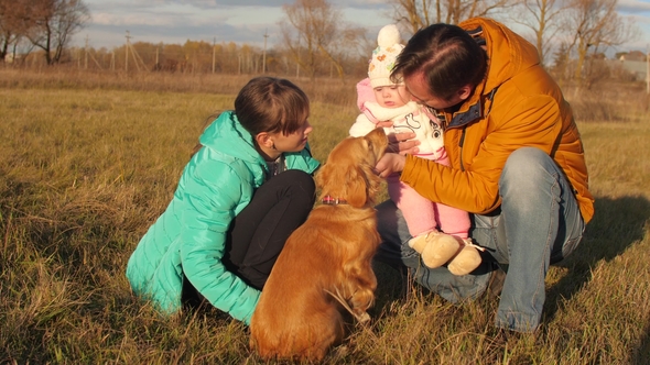 Dad and Children Stroked Hand of Dog, Family Is Resting in Park with Pet Dog alt